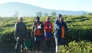 Sejumlah buruh petik teh di perkebunan di Desa Tarumajaya, Kecamatan Kertasari, Kabupaten Bandung, menyiangi tubuhnya sebelum beraktivitas. Hal ini dilakukan mengingat suhu di Kertasari lebih dingin dari biasanya. (Liputan6.com/Huyogo Simbolon)