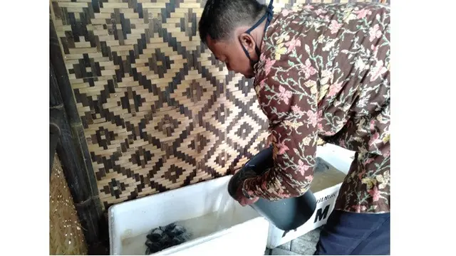 Kisah Perjuangan Pria Bangun Konservasi Penyu, Siap Jadi Eduwisata Era Pandemi