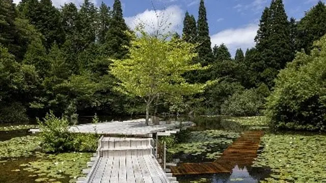 Jepang