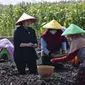 Ketua DPR RI Puan Maharani saat bertemu dan dialog langsung dengan petani bawang merah di Brebes. Foto (Istimewa)