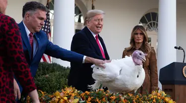 Ibu Negara Melania Trump menyaksikan Presiden Donald Trump memberikan pengampunan kepada kalkun dalam upacara Thanksgiving nasional di Rose Garden Gedung Putih, Selasa (26/11/2019). Ini merupakan tradisi tahunan yang diadakan di Gedung Putih sehari sebelum perayaan Hari Thanksgiving. (AP/Evan Vucci)