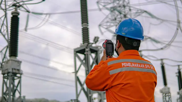 PLN