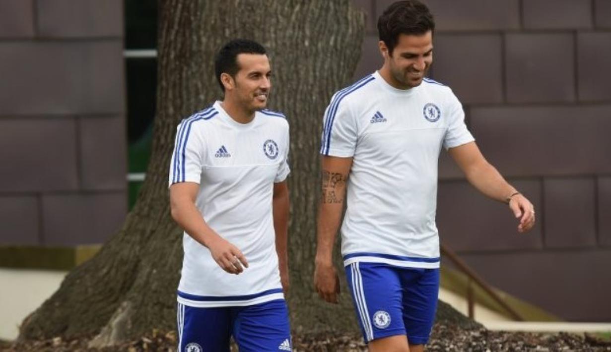 Pedro Rodriguez bersama Cesc Fabregas di pusat latihan Chelsea, Cobham. (Chelseafc.com)