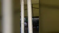 Segerombolan lalat kecil dirilis oleh Koperasi Nelayan Orbetello pada hari Kamis (20/1/2025). (Koperasi Nelayan Orbetello/AP)
