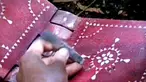 liputan6