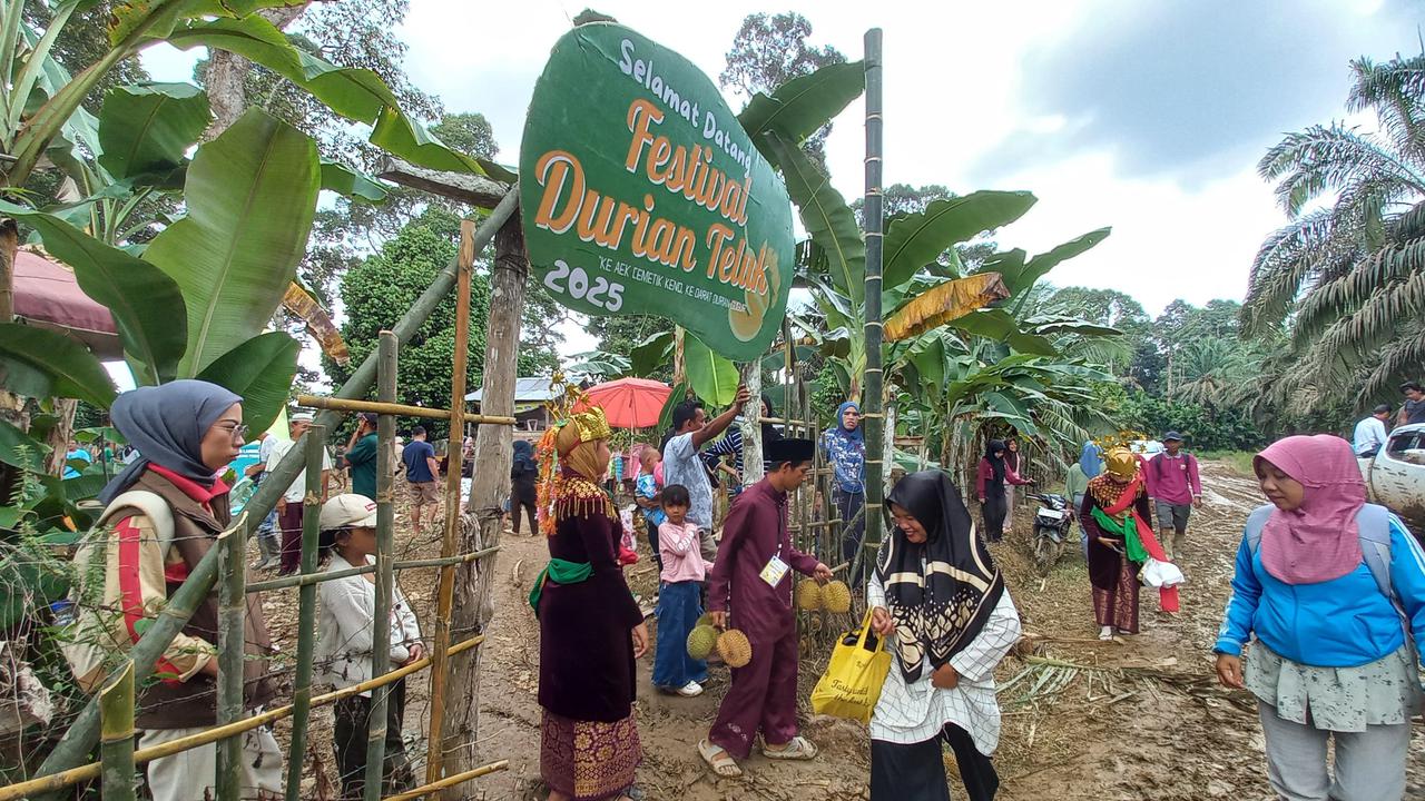 Festival Durian