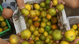 Pedagang memlilih buah jeruk di pasar induk Kramat Jati, blok buah di Jakarta, Minggu (2/2/2020). Produksi lokal dinilai perlu digenjot untuk meredam impor buah tropis yang masih berlangsung sampai saat ini. (Liputan6.com/Herman Zakharia)