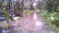 Ratusan kolam dan puluhan hektar sawah juga terendam. Petani pun rugi ratusan juta rupiah. (Foto: Liputan6.com/BPBD Cilacap/Muhamad Ridlo)