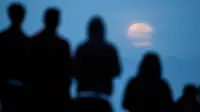 Tanggapan Kocak Penganut Bumi Datar Soal Supermoon dan Gerhana Bulan Total