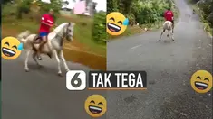Kuda putih itu terlihat mengerem menggunakan dua kaki belakangnya.