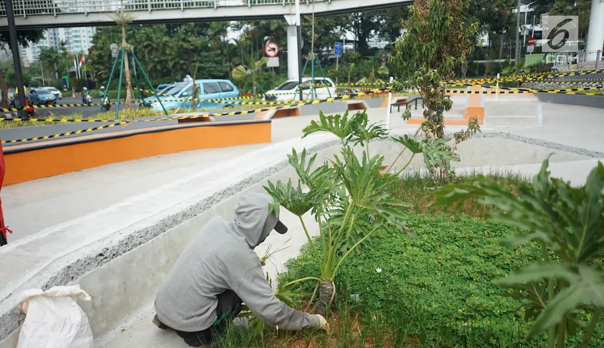 Pekerja mencabuti rumput di proyek pembangunan Taman Dukuh Atas di Jalan Jenderal Sudirman, Jakarta, Jumat (2/8/2019). Pembangunan ruang terbuka baru di Dukuh Atas ini diharapkan menjadi ruang bagi pejalan kaki dan lokasi berpindah moda transportasi. (Liputan6.com/Immanuel Antonius)