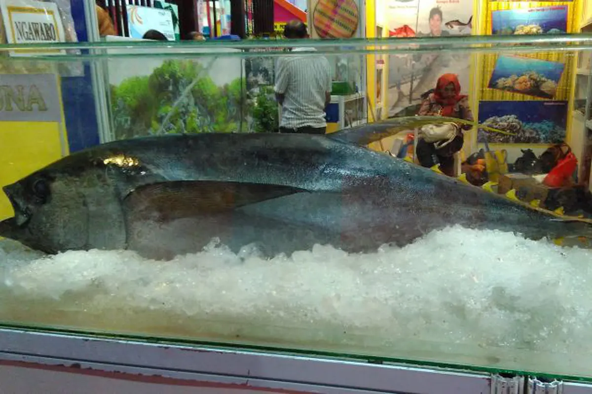 Ikan tuna sirip kuning dalam acara 12th Indonesia Investment Week 2016. 