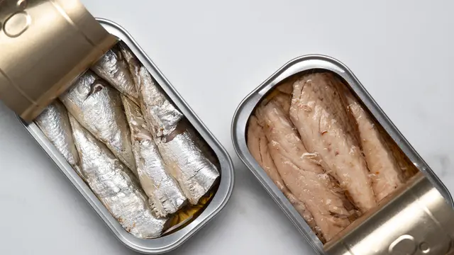 Sumber Protein Berkualitas Tinggi