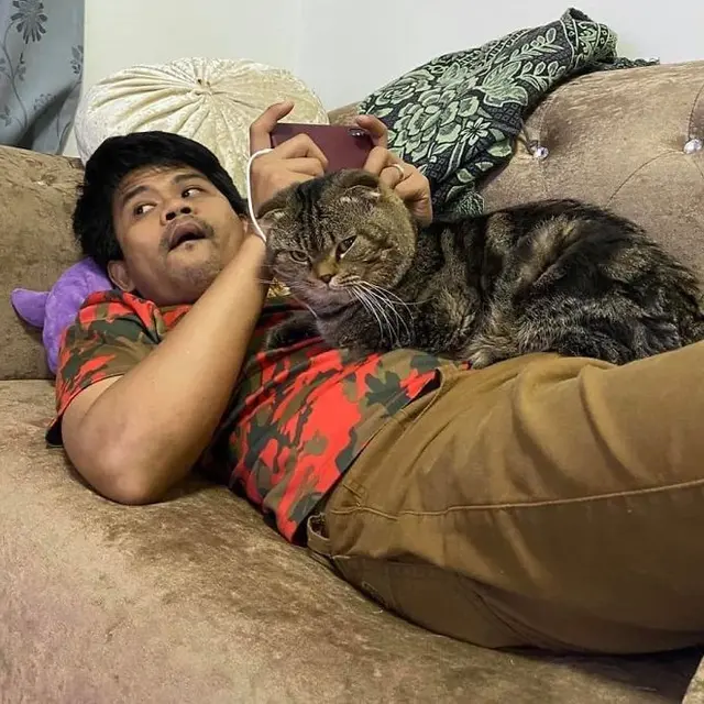 kucing rebut suami