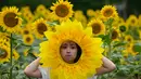 Seorang perempuan berpose dengan latar belakang ladang bungan matahari. (Photo by Jade Gao / AFP)