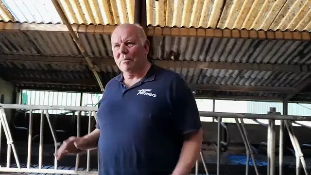 Jos Knoef (63) peternak di Geesteren, Belanda mengajarkan bahwa sapi harus bahagia bila ingin produksi susu berlimpah.