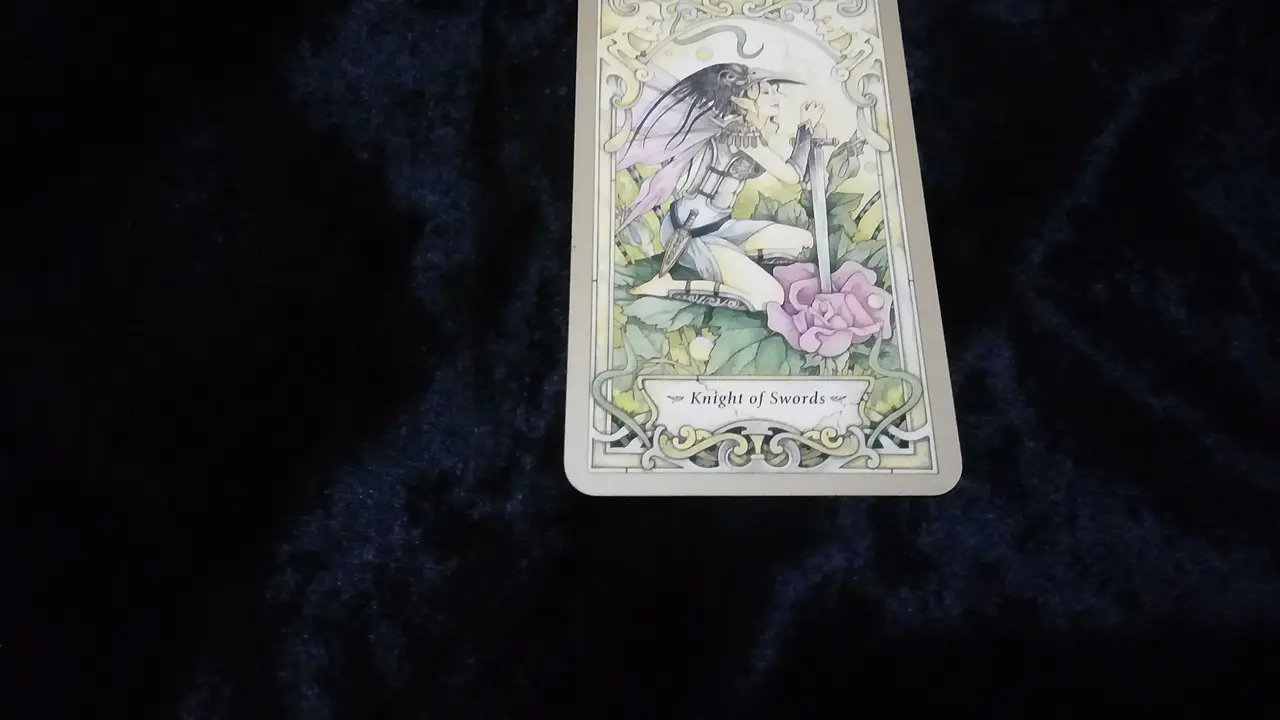 Tarot hari ini