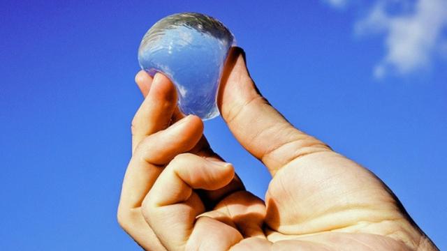 Solusi Kelaparan, Ini 5 Makanan Masa Depan Umat Manusia Kelak