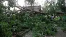 Warga berada didekat pohon besar yang tumbang akibat Topan Nock-Ten di Camarines Sur, wilayah Bicol, Filipina tengah (26/12). Topan tersebut Diperkirakan akan bergerak ke arah barat dengan kecepatan 15 km/jam. (REUTERS/Erik De Castro)