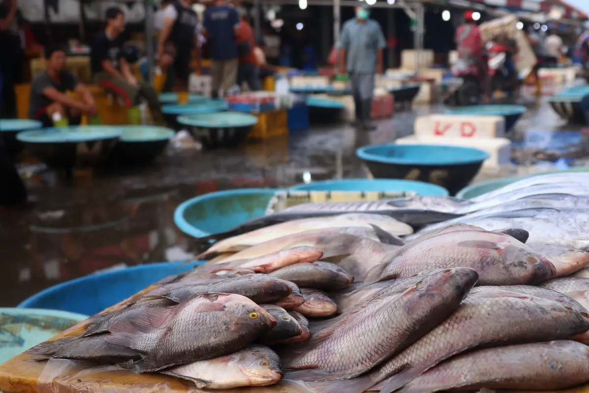 Ketersediaan Ikan Dipastikan Aman Selama Ramadhan Hingga Lebaran