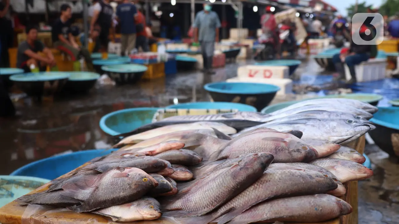 Ketersediaan Ikan Dipastikan Aman Selama Ramadhan Hingga Lebaran