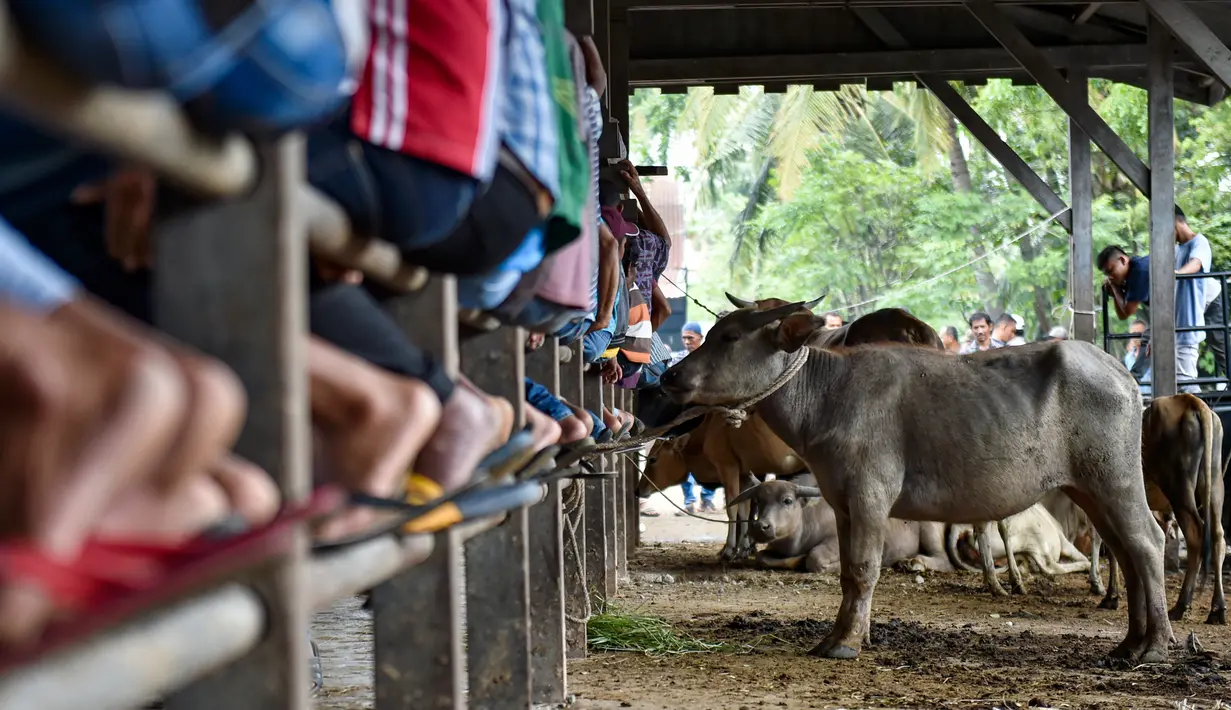 Orang-orang berkumpul di pasar yang menjual ternak menjelang perayaan Idul Fitri yang menandai berakhirnya bulan suci Ramadan di Sibreh, provinsi Aceh (20/5/2020). (AFP/Chaideer Mahyuddin)