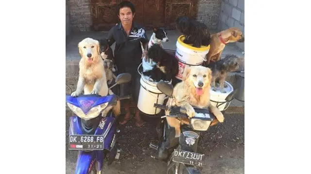 Pria Ini Selalu Bawa Banyak Anjing Saat Bekerja, Ini 6 Potretnya