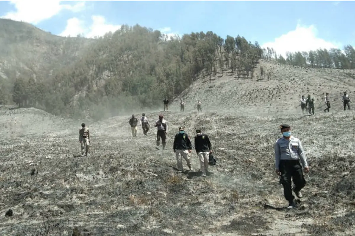 Kebakaran di Gunung Bromo