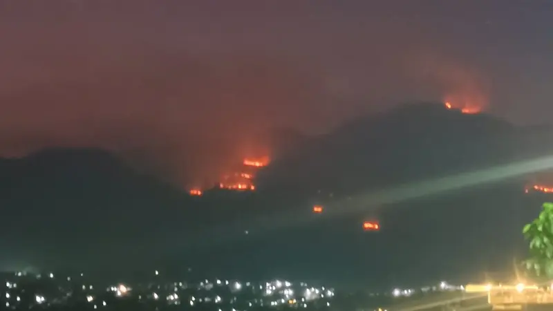 Terlihat beberapa titik api masih terlihat jelas dalam musibah kebakaran yang melanda kawasan Gunung Guntur Garut, Jawa Barat, hingga Selasa (20/8/2024) malam. (Liputan6.com/Jayadi Supriadin)