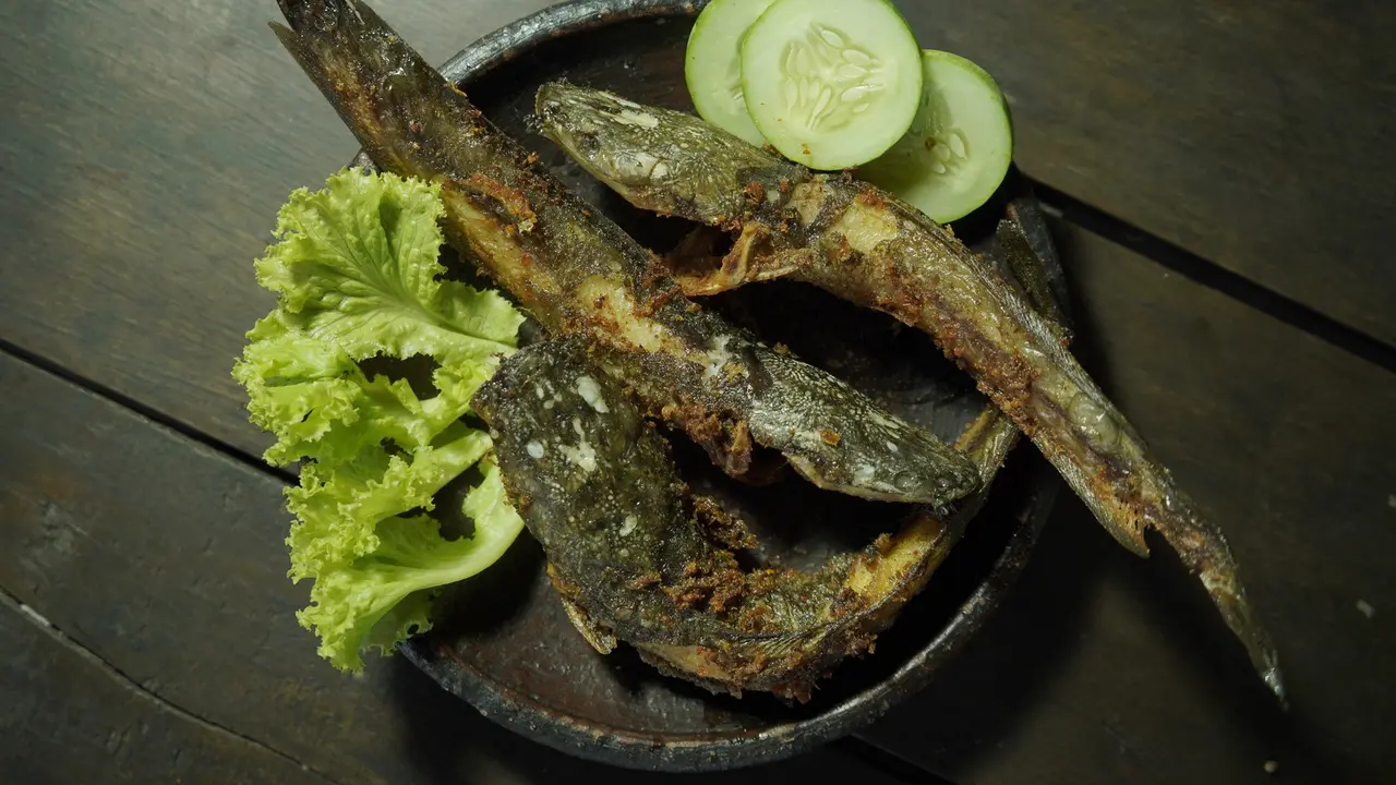 lele goreng