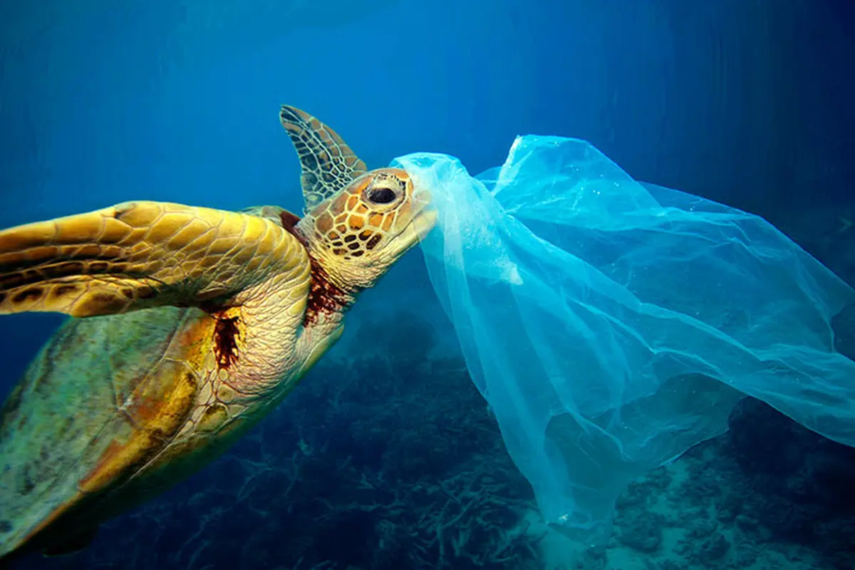 Sampah di laut