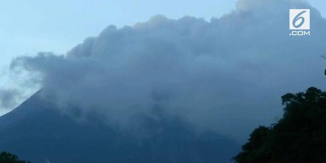 VIDEO: Guguran Lava Pijar Terus Terjadi di Merapi
