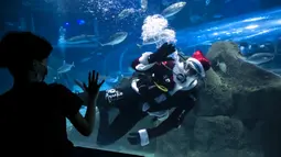 Aquarist Volmer Salvador menyapa pengunjung akuarium AquaRio mengenakan kostum Sinterklas saat musim Natal di Rio de Janeiro, Brasil, 20 Desember 2021. Dengan luas bangunan sekitar 26.000 meter persegi, AquaRio dianggap sebagai akuarium laut terbesar di Amerika Selatan. (AP Photo/Bruna Prado)