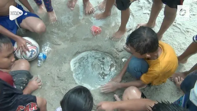 Warga DKI dihebohkan dengan kemunculan ubur-ubur di pantai Ancol. Bukannya menjauhi ubur-ubur, warga justru menangkap ubur-ubur dan dimainkan oleh anak-anak.