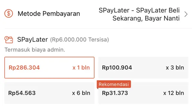 SPayLater
