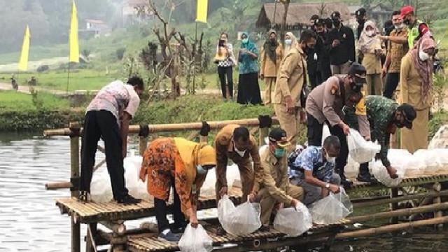Penebaran Bibit Ikan Lokal Oleh Dinas Kelautan dan Perikanan Provinsi JATIM di Wisata Sawah Sumber Gempong.