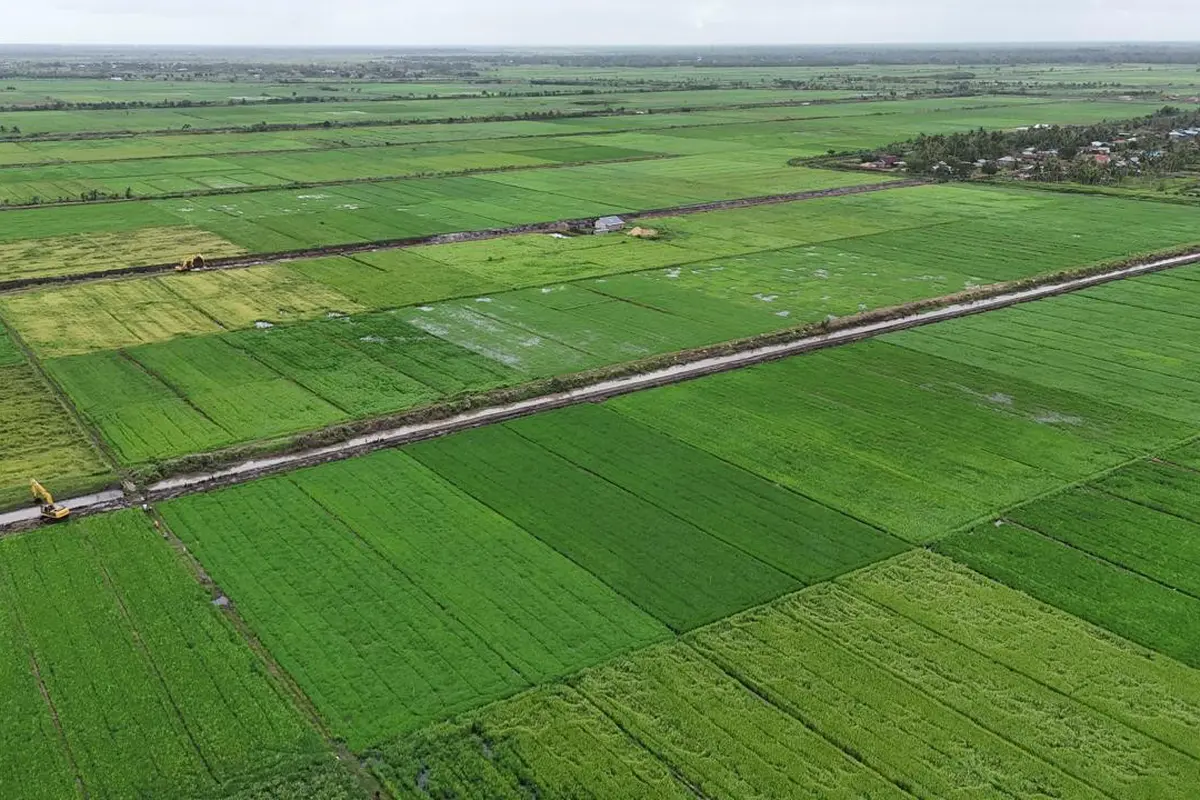 Kementan Jelaskan Produksi Beras di Tengah El Nino Berkepanjangan tahun 2024