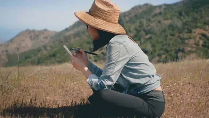 Foto: copyright pexels.com