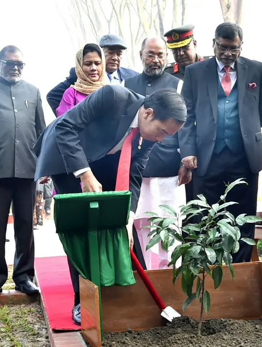Presiden Joko Widodo didampingi Ibu Negara Iriana Joko Widodo menanam pohon Tanjung saat mengunjungi National Martyrs’ Memorial di Savar, Bangladesh (28/1). (Liputan6.com/Pool/Rusman Biro Pers Setpres)