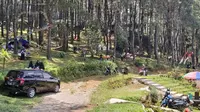Hutan Pinus Ujung Aspal, salah satu lokasi wisata alam di Kabupaten Purwakarta yang bisa jadi referensi acara Munggahan. Foto (Liputan6.com/Asep Mulyana)
