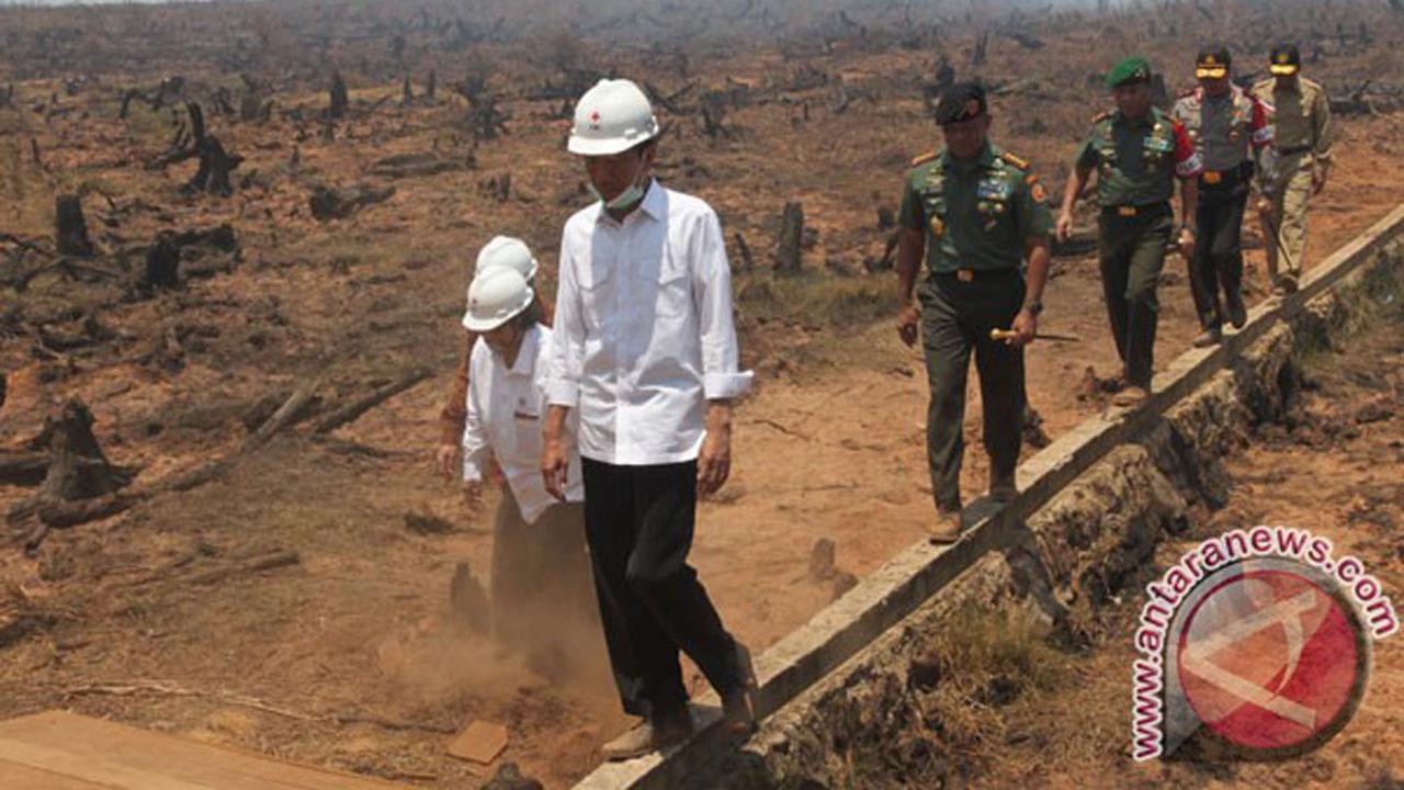 Kebakaran Lahan Gambut