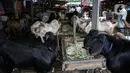 Sejumlah hewan kurban dijual di Pasar Kambing, Tanah Abang, Jakarta, Selasa (13/7/2021). Menurut pedagang, bisanya memasuki satu minggu sebelum Idul Adha Pasar Kambing mulai ramai dikunjungi pembeli. (Liputan6.com/Faizal Fanani)