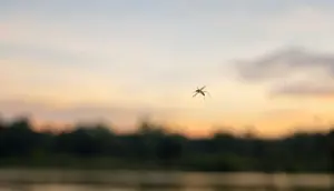 Dua Karyawan Bandara Jerman Meninggal Terinfeksi Malaria