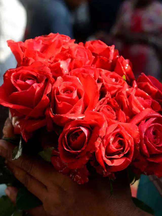 Hari Valentine