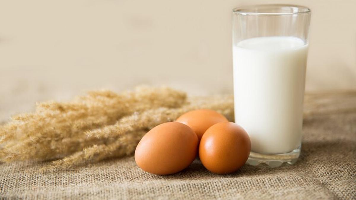 Kekurangan Asupan Kolin Miliki Kaitan dengan Gangguan Cemas, Pakar Dorong Konsumsi Produk Peternakan