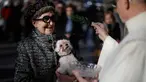 Seorang pendeta memberkati anjing saat upacara Saint Anthony di Madrid, Spanyol, Selasa (17/1). Saint Anthony adalah orang suci yang dianggap sebagai pelindung hewan di Gereja Katolik. (AP Photo / Daniel Ochoa de Olza)