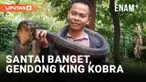 Seorang warga Majalengka Jawa Barat berduel dengan ular king kobra sepanjang 5 meter di kolam ikan. Kejadian ini terekam kamera amatir warga setempat.