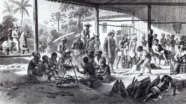 Ilustrasi praktik perbudakan di Brazil - AP