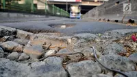 Detik-Detik Pemotor Kecelakaan Saat Melaju Kencang di Jalan Bergelombang yang Terekam Kamera