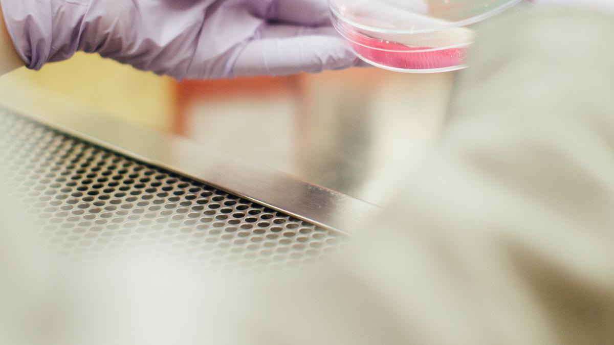 Berapa Biaya Terapi Stem Cell di 2025?